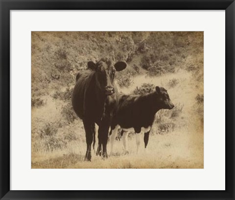 Framed Lone Star Cows I Print