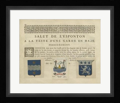 Framed Vintage Armes &amp; Crests III Print