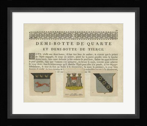 Framed Vintage Armes &amp; Crests IV Print