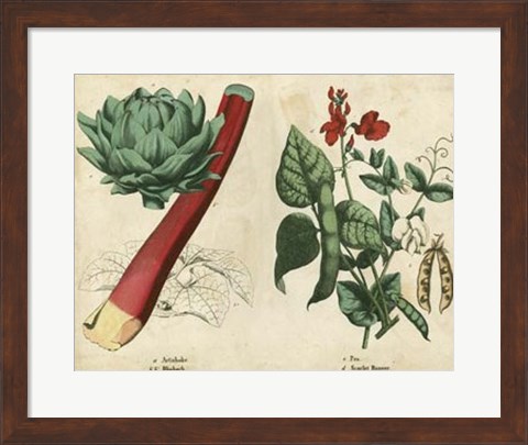 Framed Kitchen Vegetables &amp; Roots II Print