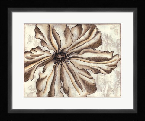 Framed Fresco Flowerhead VI Print