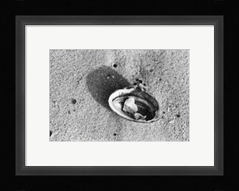 Framed Sand Treasures VI Print