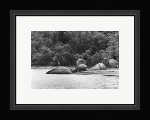 Framed Serene Lake II Print