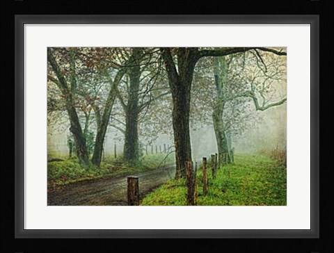 Framed Morning on Sparks Lane IV Print