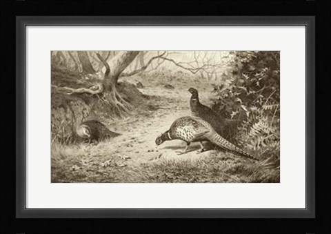 Framed Pheasant Print
