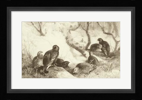 Framed Black Game Print