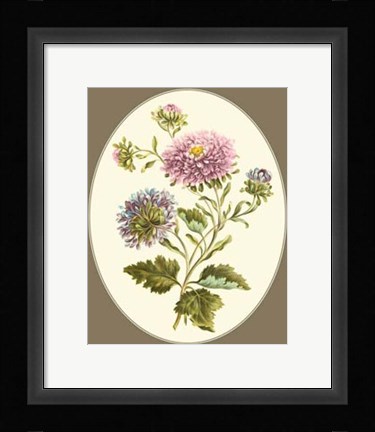 Framed Antique Bouquet II Print