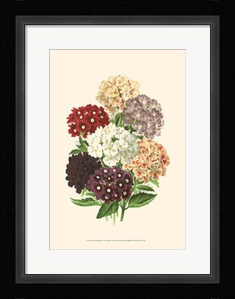 Framed Bountiful Bouquet I Print
