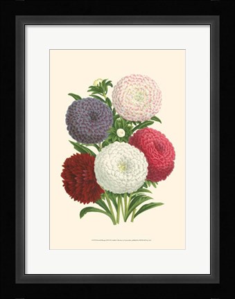 Framed Bountiful Bouquet II Print