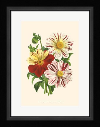 Framed Bountiful Bouquet III Print
