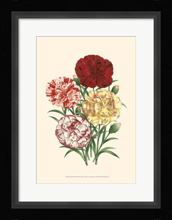 Framed Bountiful Bouquet IV Print