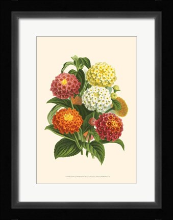 Framed Bountiful Bouquet VI Print