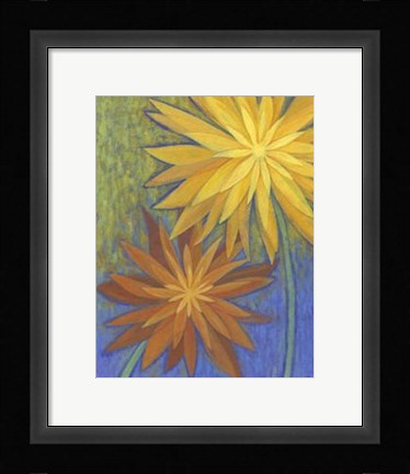 Framed Floral Burst II Print