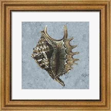 Framed Stonewashed Shells V Print