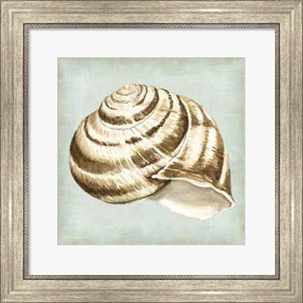 Framed Sea Dream Shells I Print