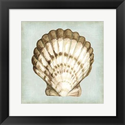Framed Sea Dream Shells III Print