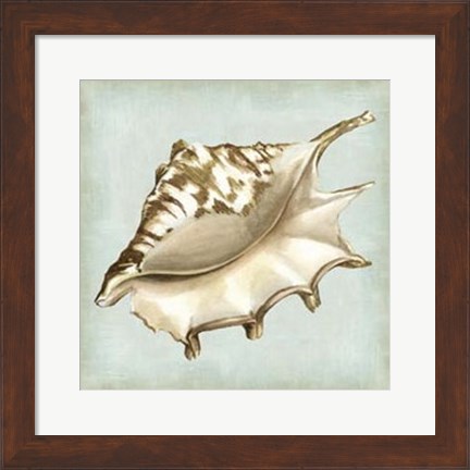 Framed Sea Dream Shells IV Print