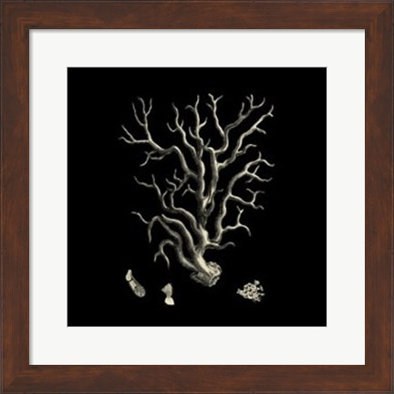Framed Small Black &amp; Tan Coral I Print