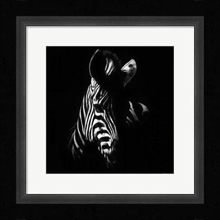 Framed Wildlife Scratchboards V Print
