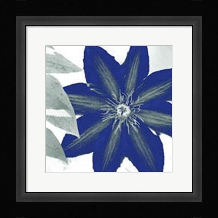 Framed Indigo Star III Print