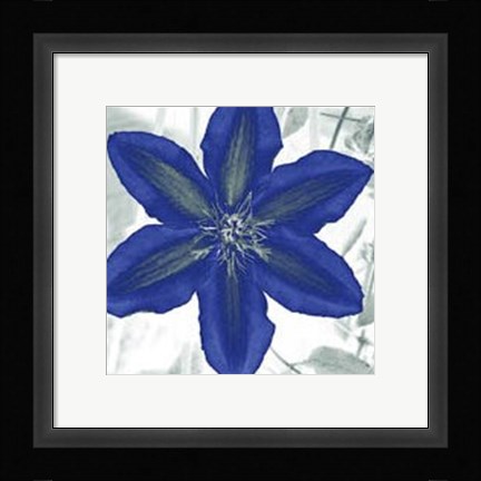 Framed Indigo Star IV Print