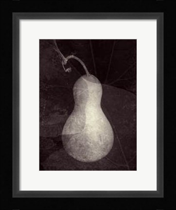 Framed Gourd I Print