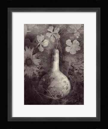 Framed Gourd II Print