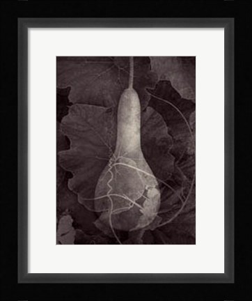 Framed Gourd III Print