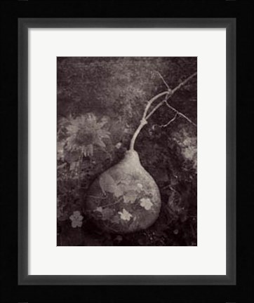 Framed Gourd IV Print