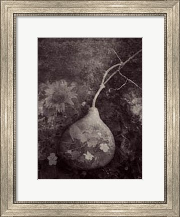Framed Gourd IV Print