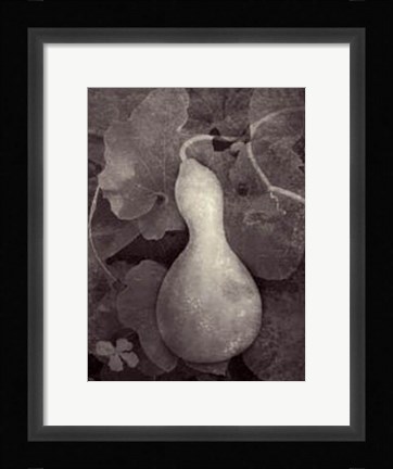 Framed Gourd V Print