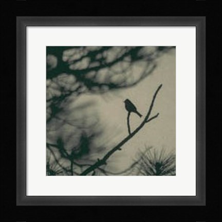 Framed Caligraphy Bird I Print