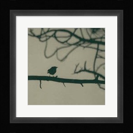Framed Caligraphy Bird II Print