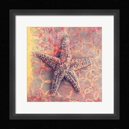 Framed Seashell-Starfish Print