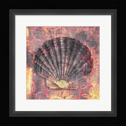 Framed Seashell-Scallop Print