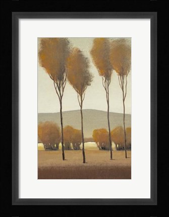 Framed Tall Birches I Print