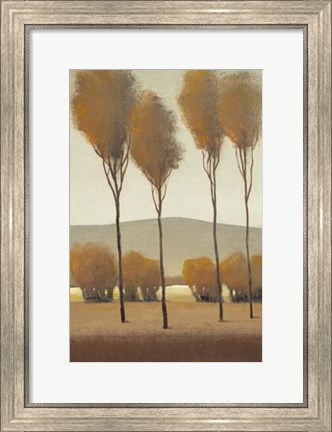 Framed Tall Birches I Print