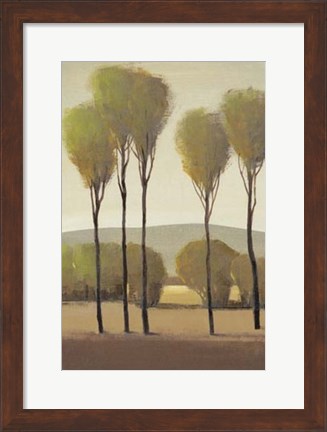 Framed Tall Birches II Print