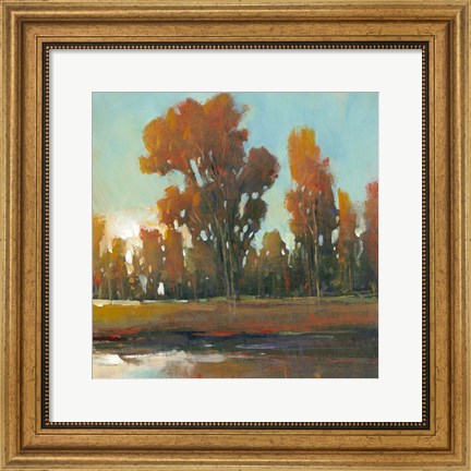 Framed Late Afternoon Fall Print