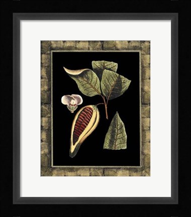 Framed Tropical Bounty I Print