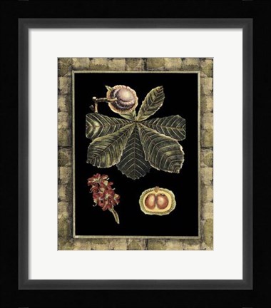 Framed Tropical Bounty II Print