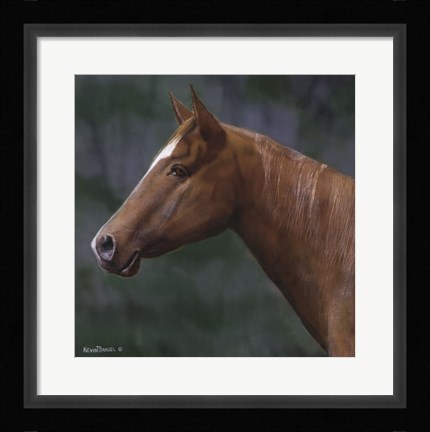 Framed Quarter Horse Print
