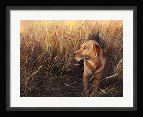 Framed Golden Grass Print