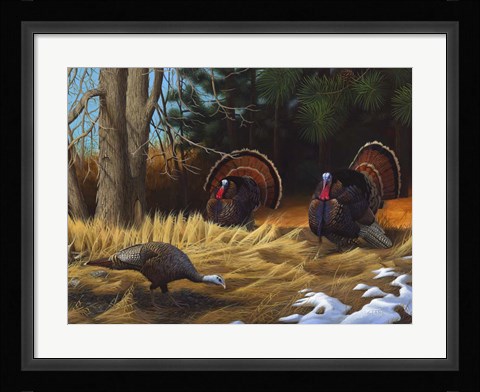 Framed Turkies Print
