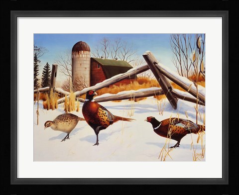 Framed Pheasants II Print