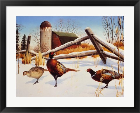 Framed Pheasants II Print