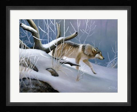 Framed Lone Wolf Print