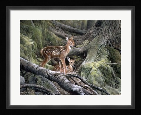 Framed Awakening Print