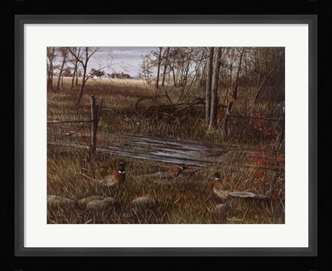 Framed Backroad Gathering Print