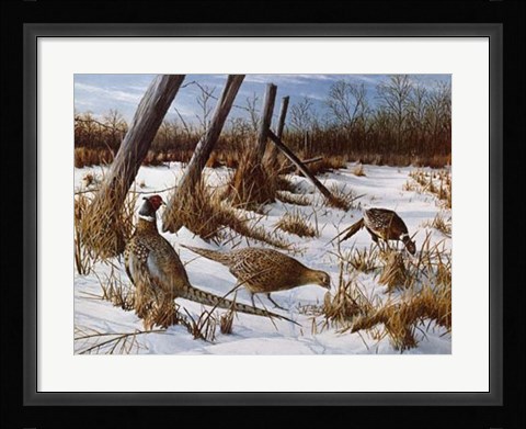 Framed Daybreak Print